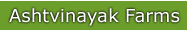 Ashtvinayak Forms